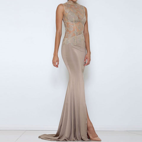 The Turtleneck Sequined Mesh Maxi Dress